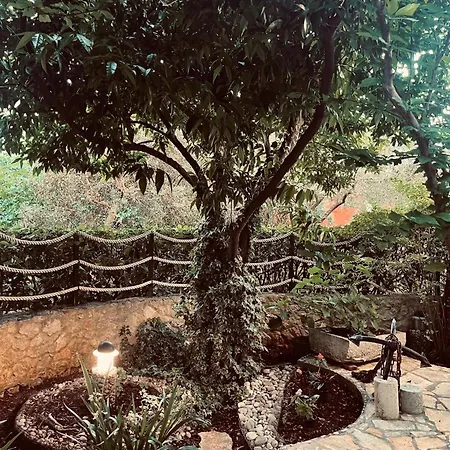 Garden Paradise Lejlighed Dubrovnik